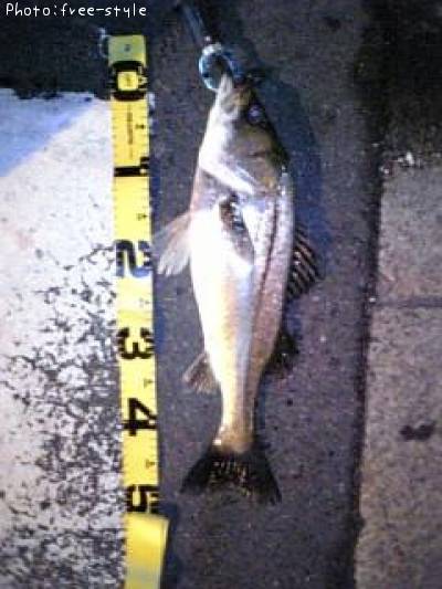 �ӣ��£���