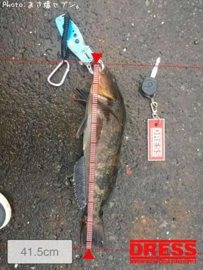 �����ʥ�