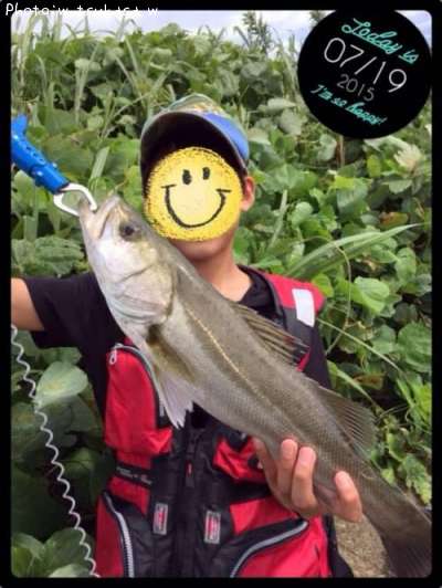 �����Х�