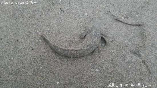 �ޥ���