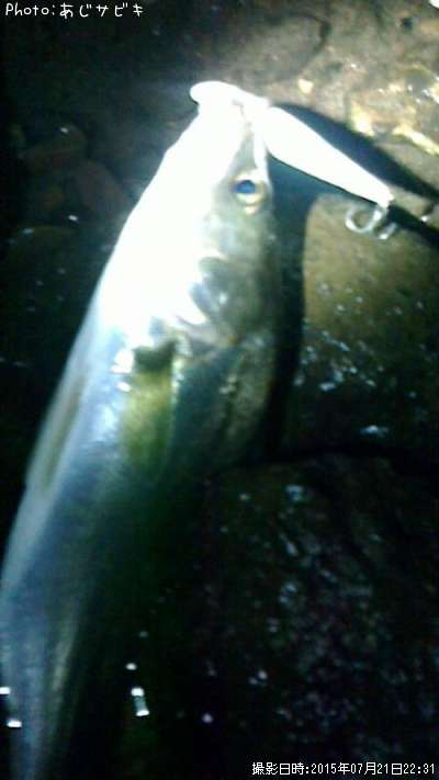 �����Х�