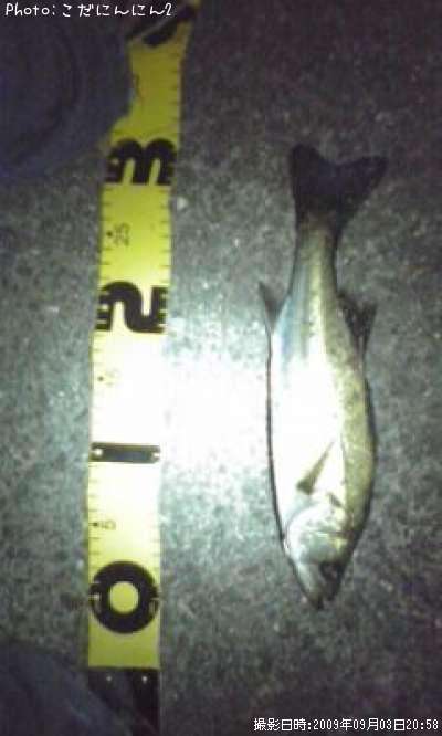 �����Х�