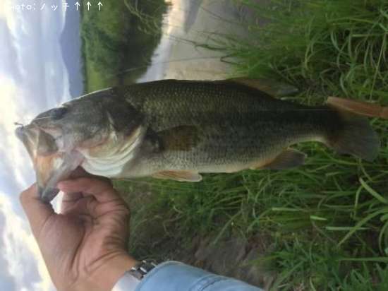 �֥�å��Х�