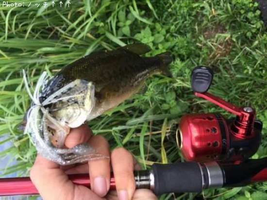 �֥�å��Х�