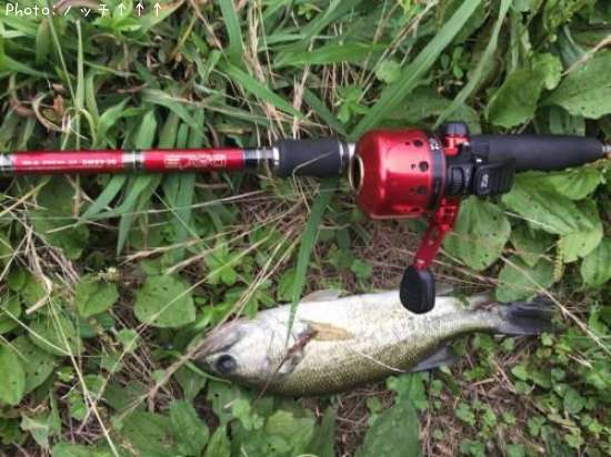 �֥�å��Х�