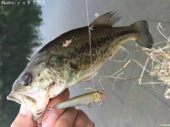 �֥�å��Х�