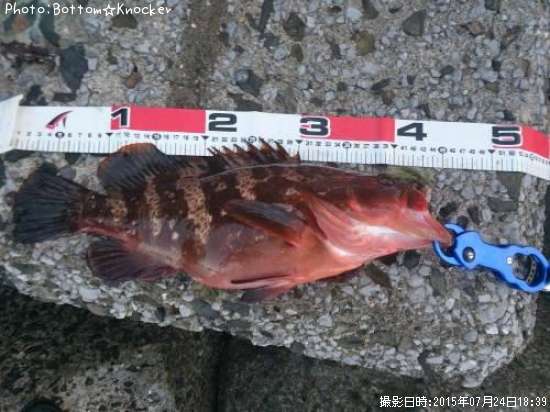 �����ϥ�