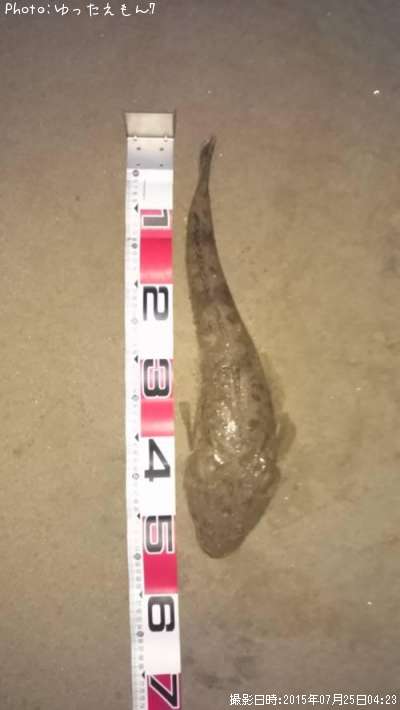 �ޥ���