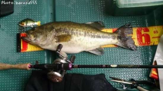 �֥�å��Х�