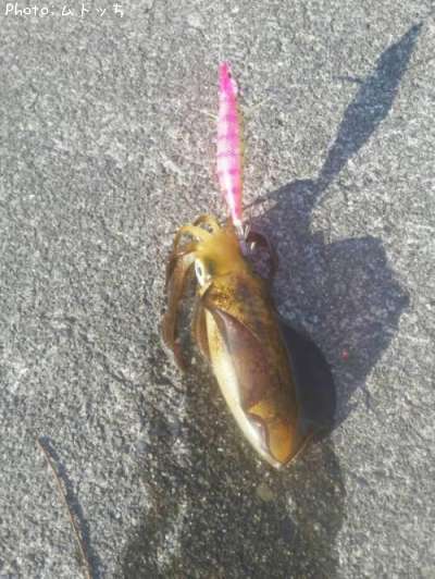 �����ꥤ��