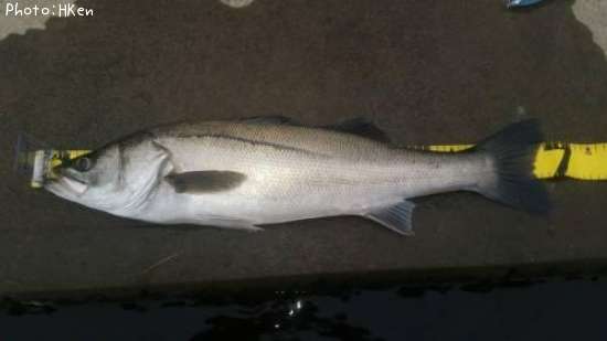 �����Х�