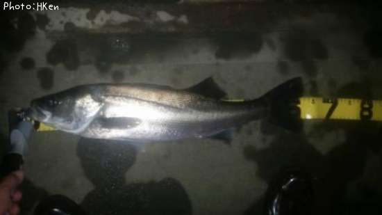 �����Х�