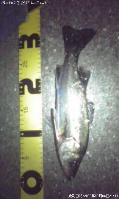 �����Х�