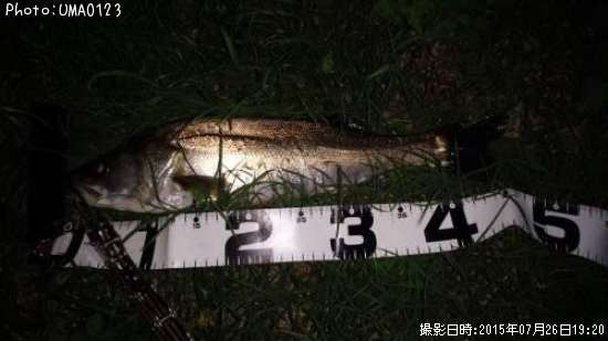 �����Х�