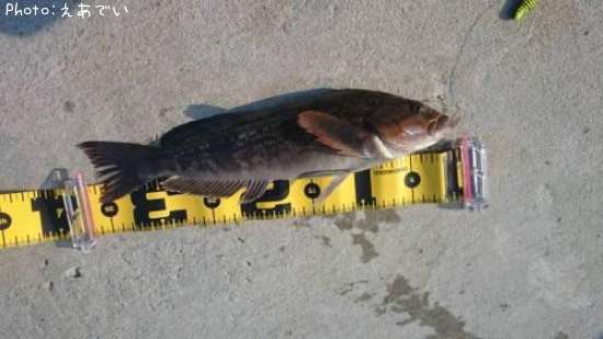 �����ʥ�