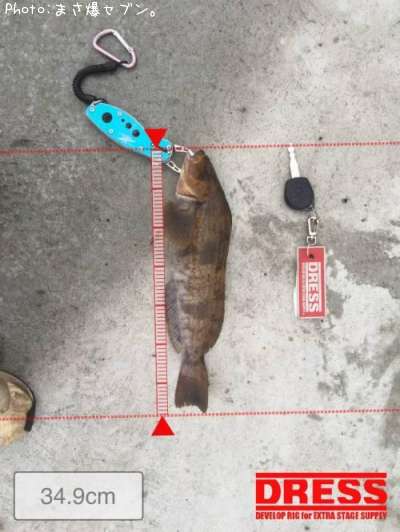 �����ʥ�