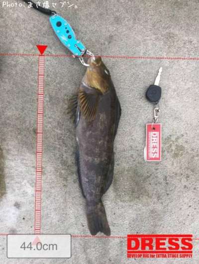 �����ʥ�