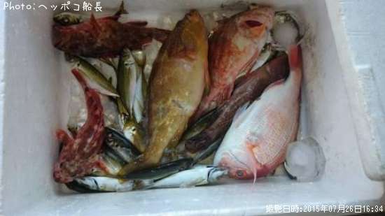 �����ϥ�