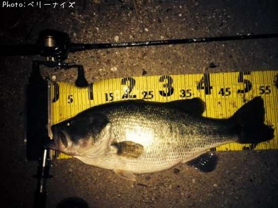 �֥�å��Х�