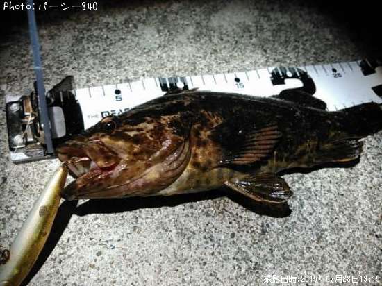 �����Υ���Х�