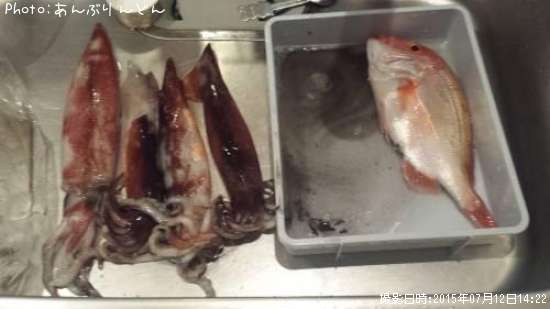 �����ȥޥ���