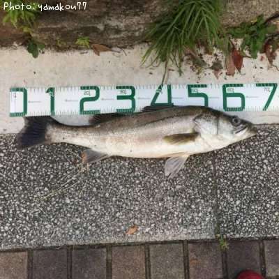 �����Х�