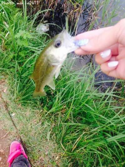 �֥�å��Х�