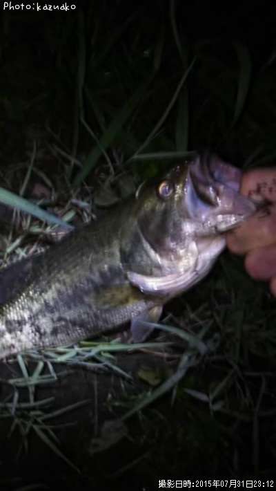 �֥�å��Х�