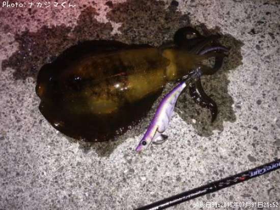 �����ꥤ��