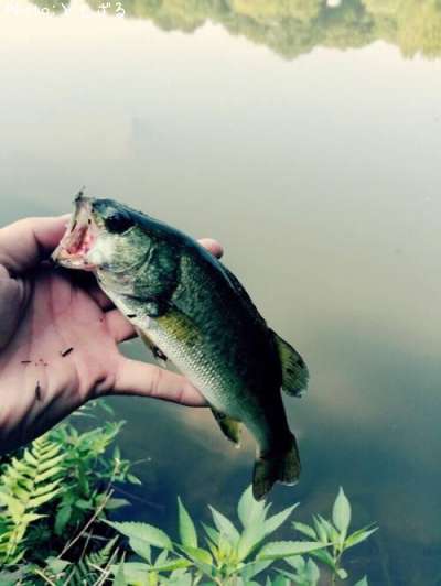 �֥�å��Х�