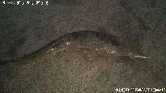 �ޥ���