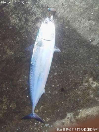 �ޥ륽����