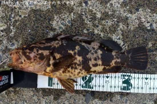 �����Υ���Х�