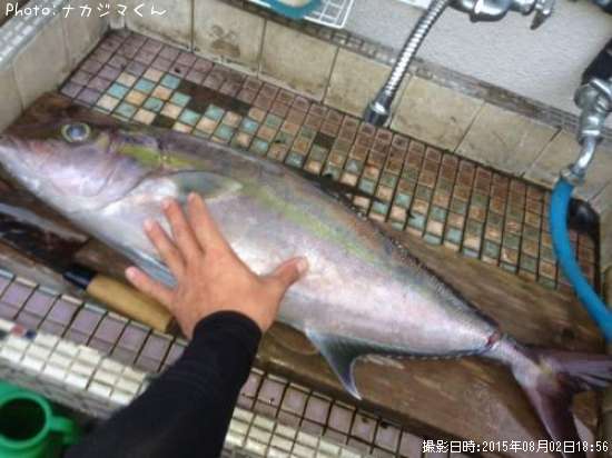 �ҥ�ʥ�����ѥ�