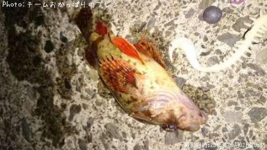 �������Х�