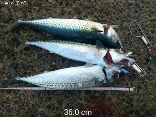 ���ޥ���