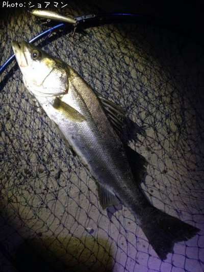 �����Х�