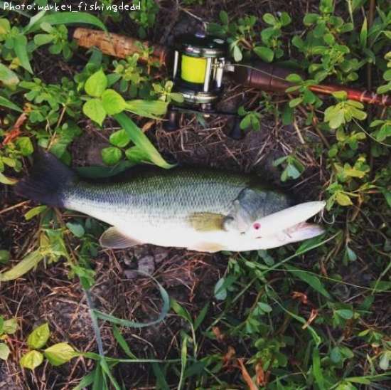 �֥�å��Х�