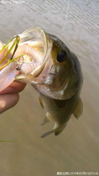 �֥�å��Х�