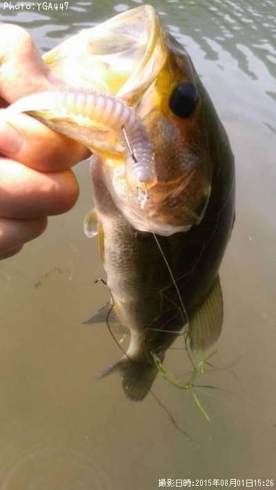 �֥�å��Х�