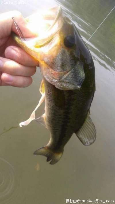 �֥�å��Х�