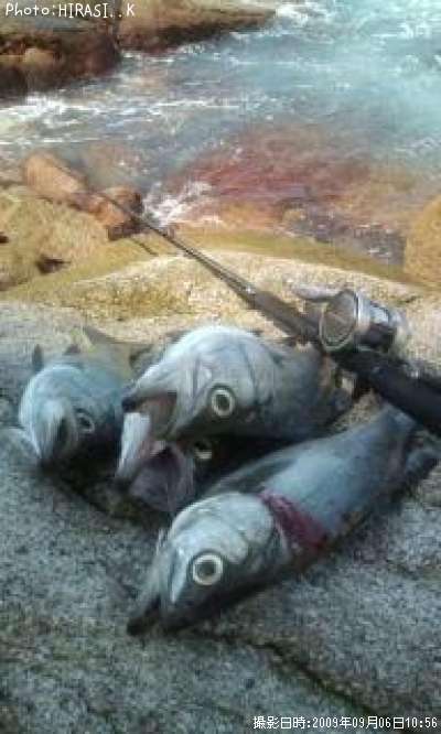 �ҥ饹����