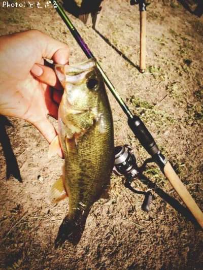 �֥�å��Х�