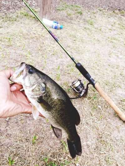 �֥�å��Х�