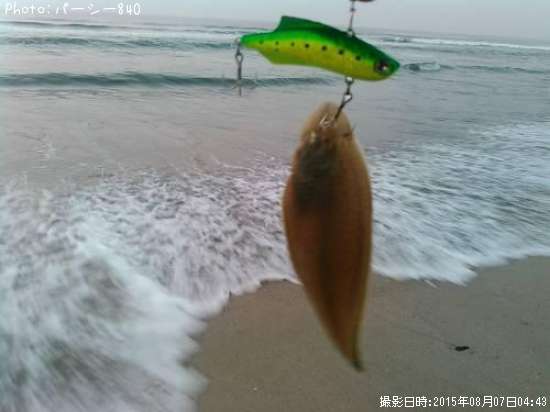 �����ӥ��