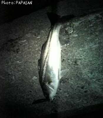 �����Х�