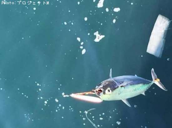 �ޥ륽����