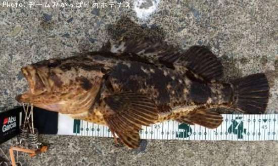 �����Υ���Х�