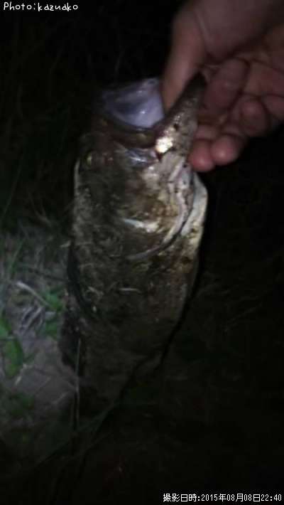 �֥�å��Х�