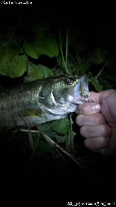 �֥�å��Х�